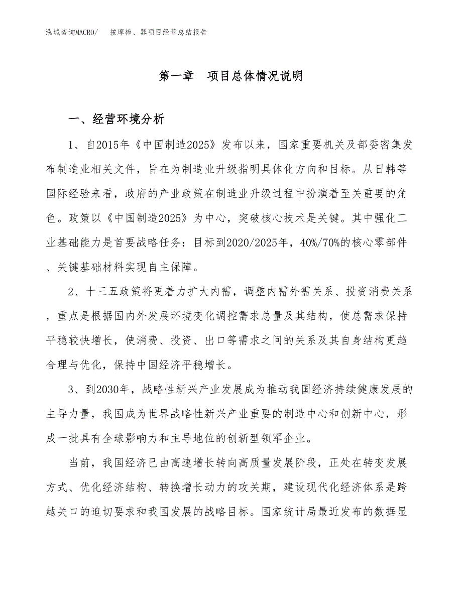 按摩棒、项目经营总结报告范文模板.docx_第2页