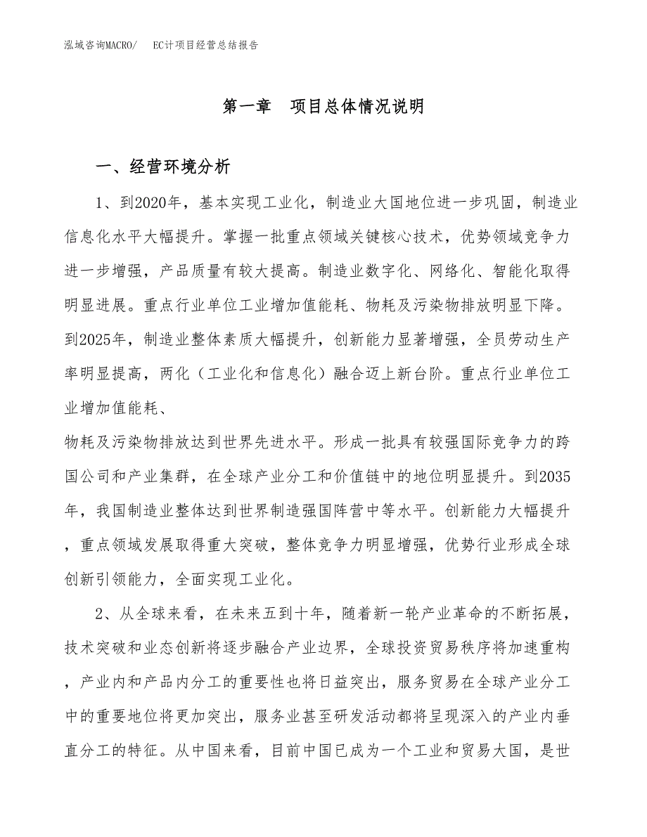 EC计项目经营总结报告范文模板.docx_第2页