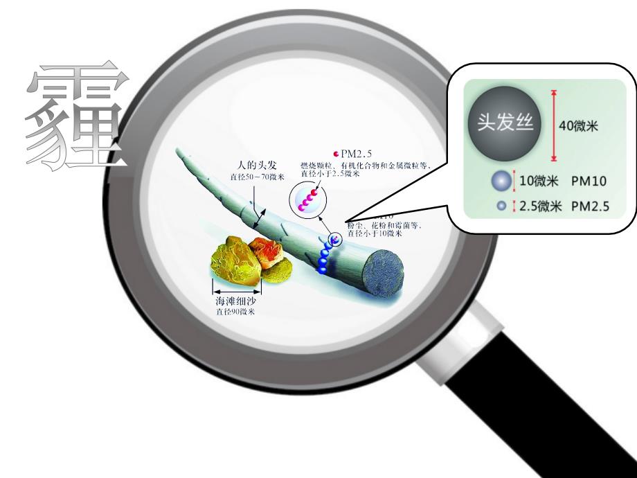 五年级数学下册课件-复式折线统计图人教新课标（2014）_第2页