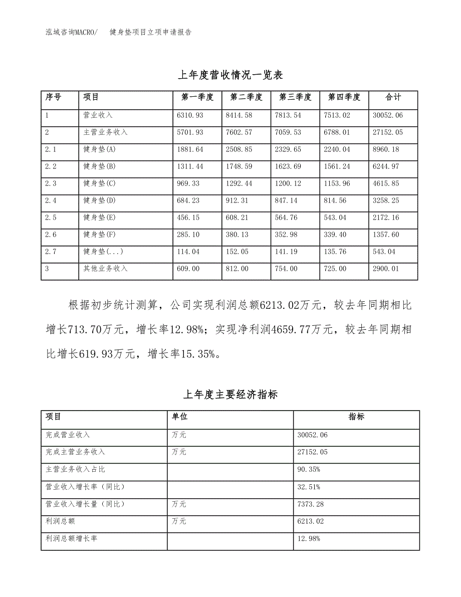 健身垫项目立项申请报告模板（总投资13000万元）_第3页