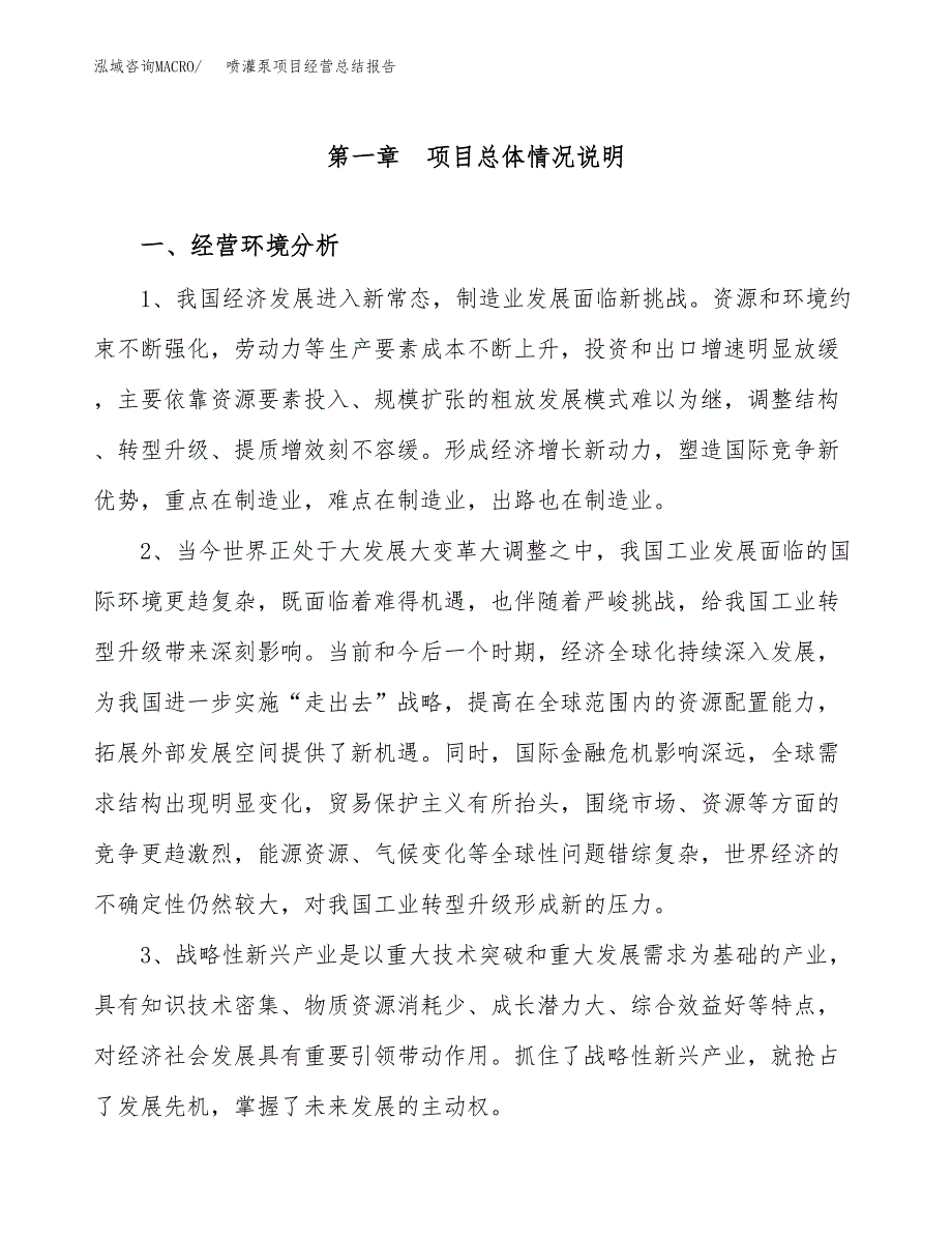 喷灌泵项目经营总结报告范文模板.docx_第2页