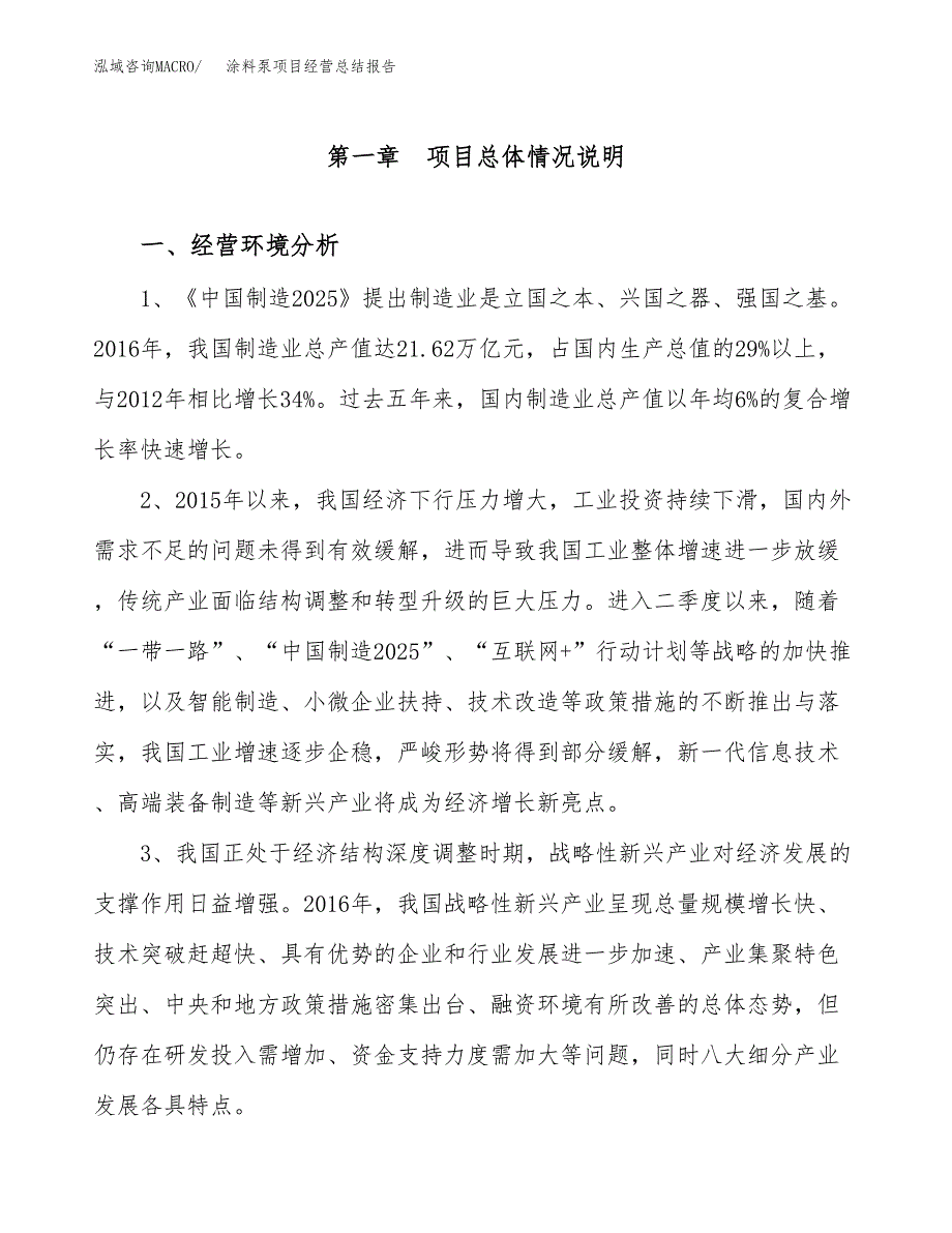 涂料泵项目经营总结报告范文模板.docx_第2页