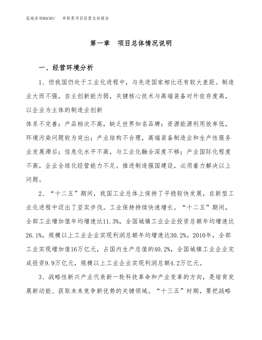 单联泵项目经营总结报告范文模板.docx_第2页