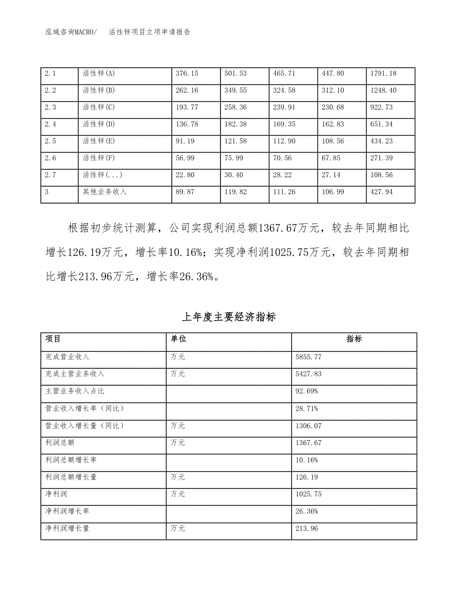 活性锌项目立项申请报告模板（总投资5000万元）_第3页