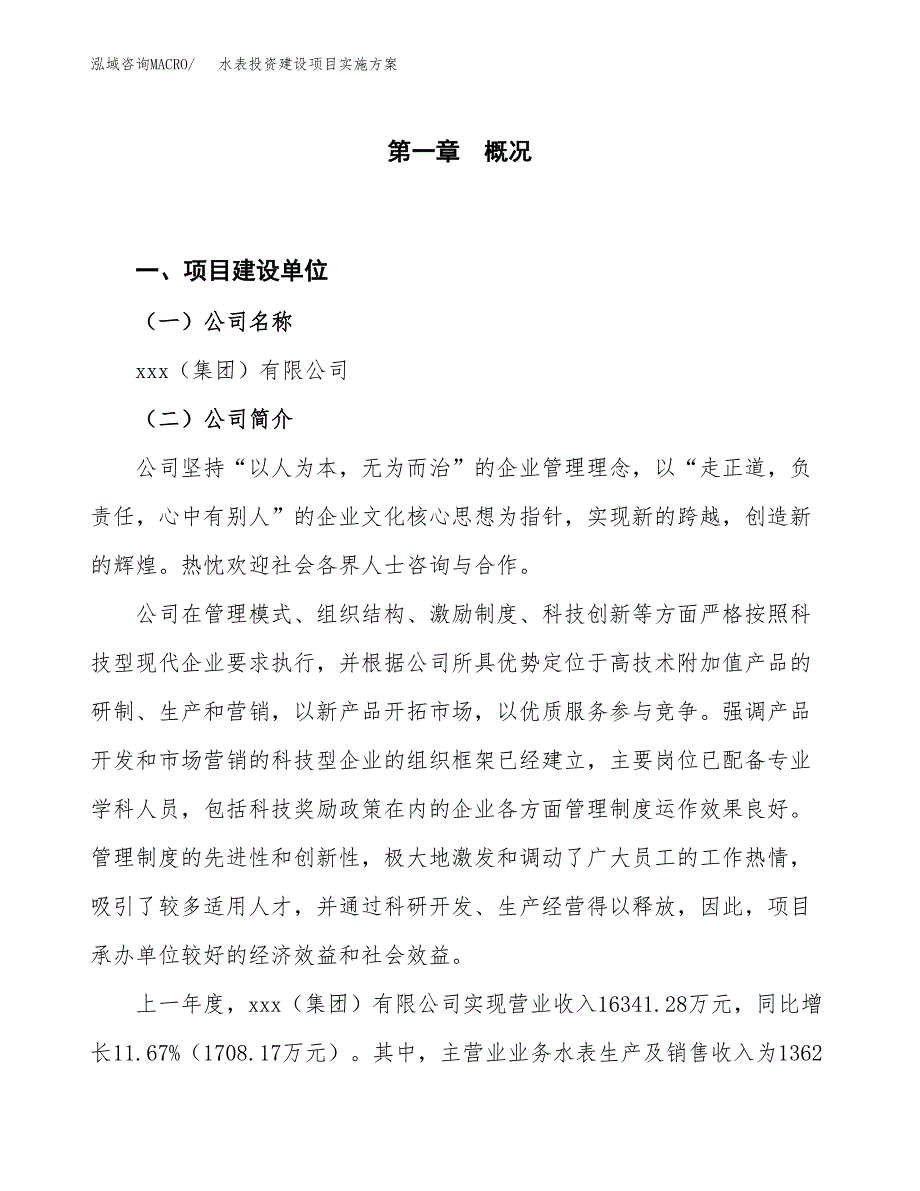 水表投资建设项目实施方案模板.docx_第1页