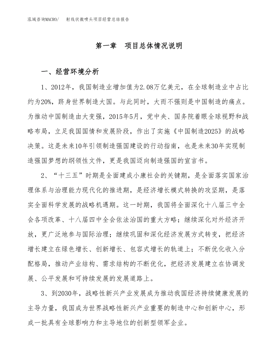 射线状微喷头项目经营总结报告范文模板.docx_第2页