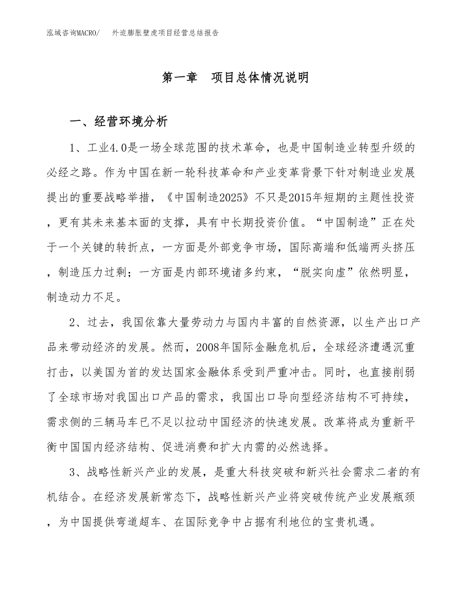 外迫膨胀壁虎项目经营总结报告范文模板.docx_第2页