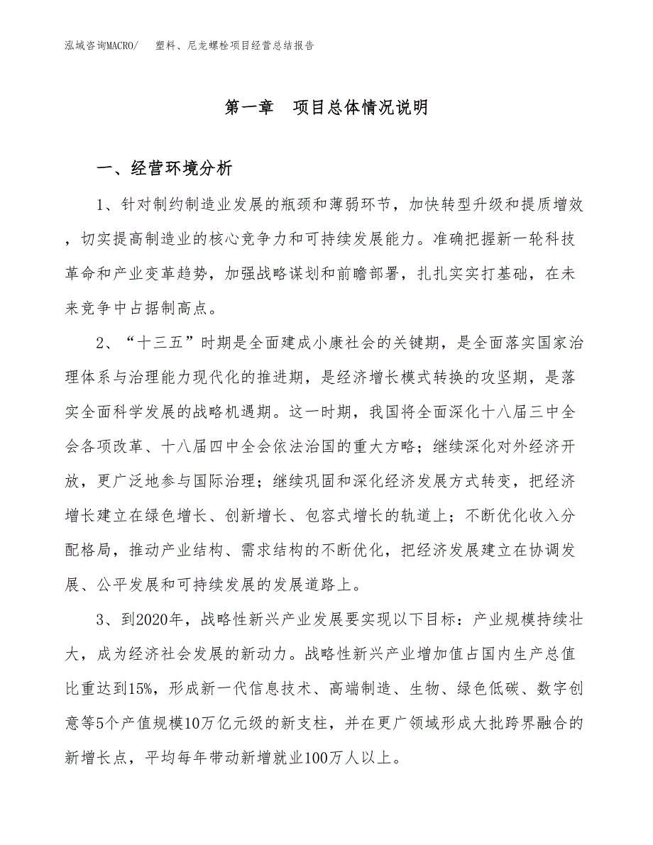 塑料、尼龙螺栓项目经营总结报告范文模板.docx_第2页