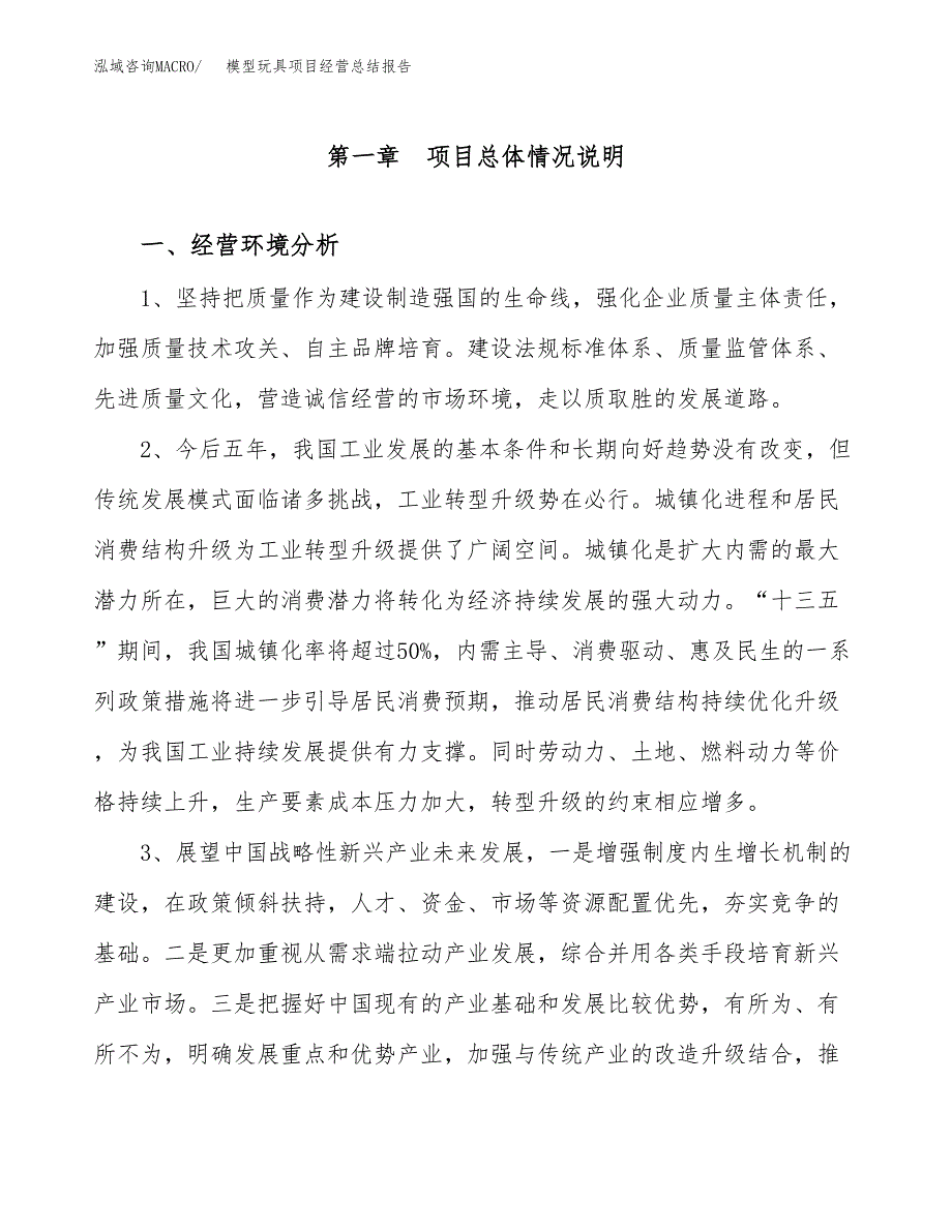 模型玩具项目经营总结报告范文模板.docx_第2页