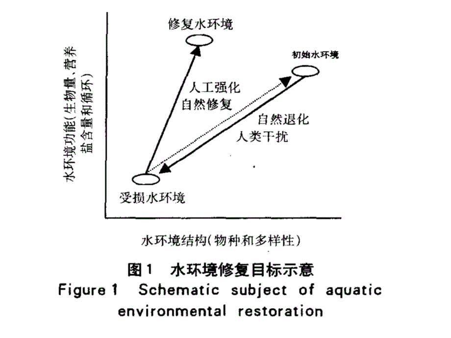 水体修复技术研究现状与发展趋势_第3页