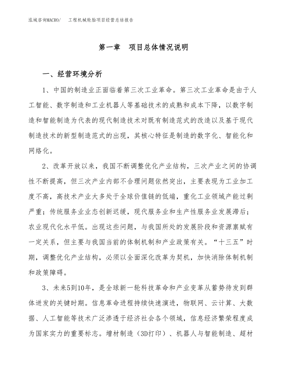 工程机械轮胎项目经营总结报告范文模板.docx_第2页