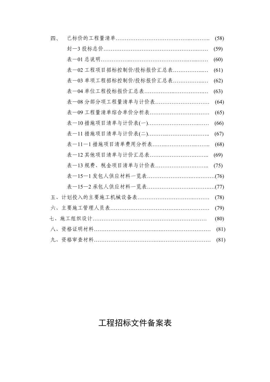 苏中动漫城一期工程公告与招标文件_第5页