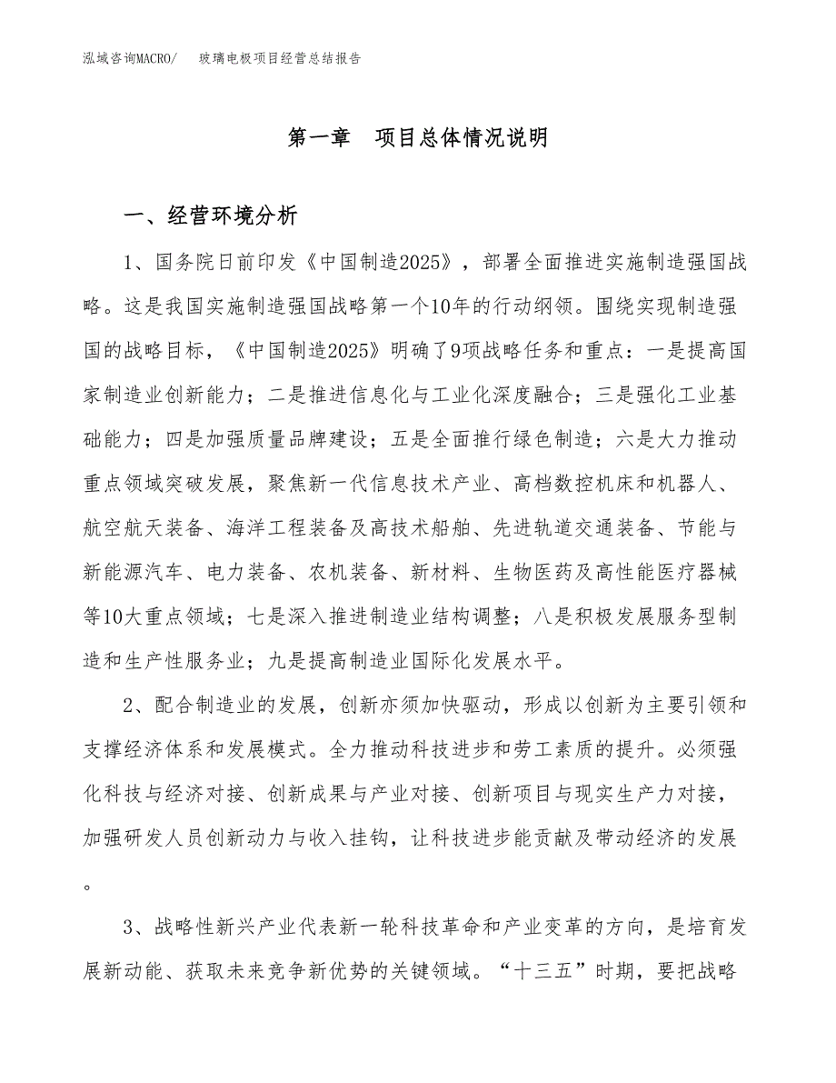 玻璃电极项目经营总结报告范文模板.docx_第2页