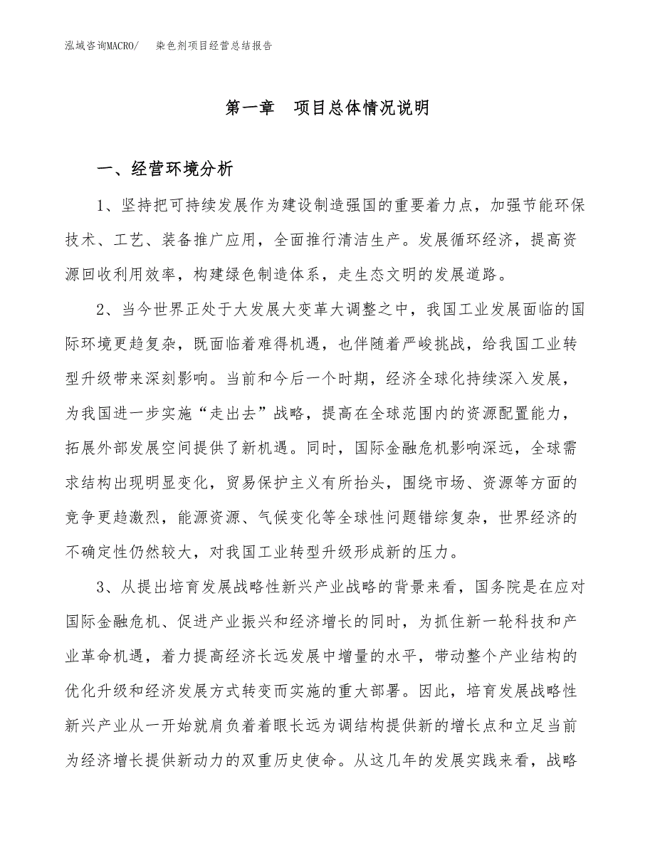 染色剂项目经营总结报告范文模板.docx_第2页