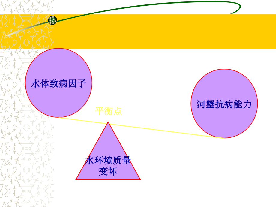 池塘养殖河蟹疾病防治基本原理与方法(040422甪直)_第3页