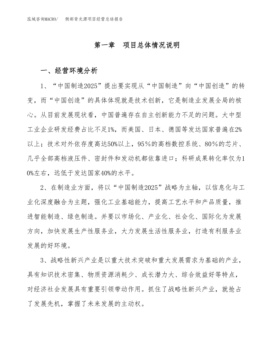 侧部背光源项目经营总结报告范文模板.docx_第2页