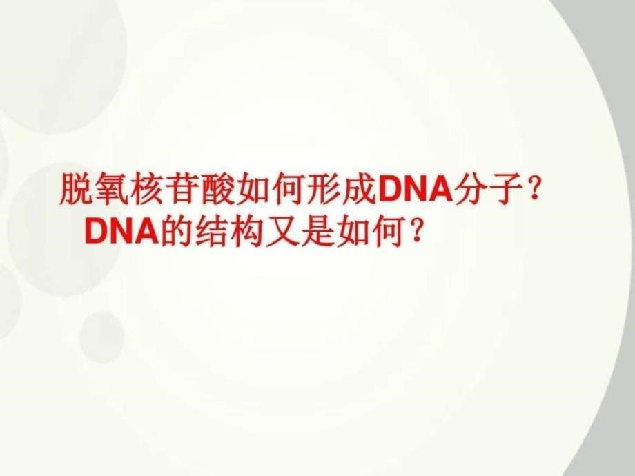 dna分子的结构(示范课)_第5页