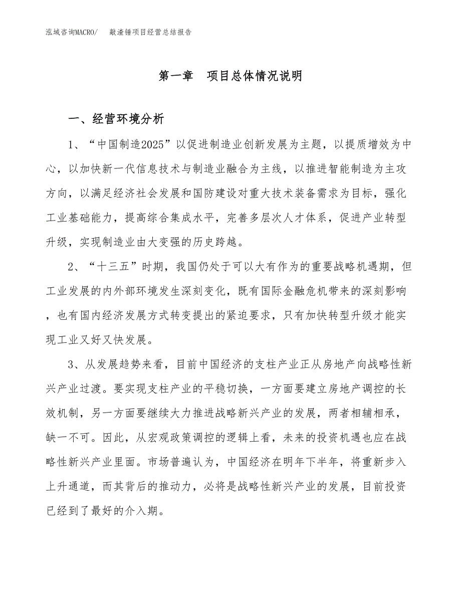 敲渣锤项目经营总结报告范文模板.docx_第2页