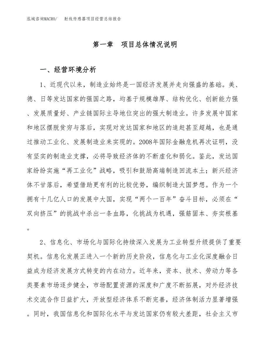 射线传感器项目经营总结报告范文模板.docx_第2页