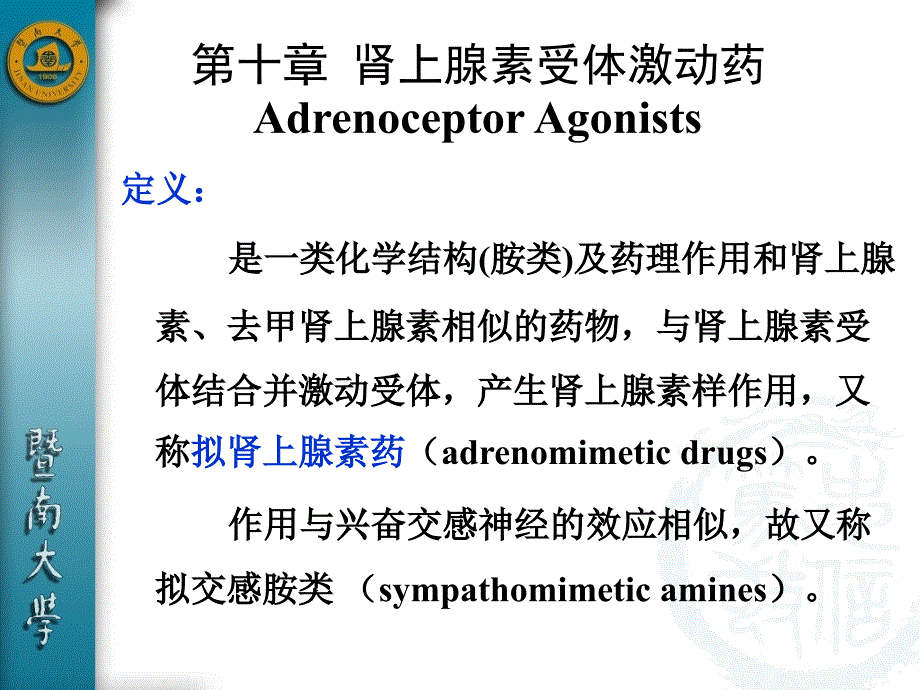 第十章肾上腺素受体激动药课件_第2页