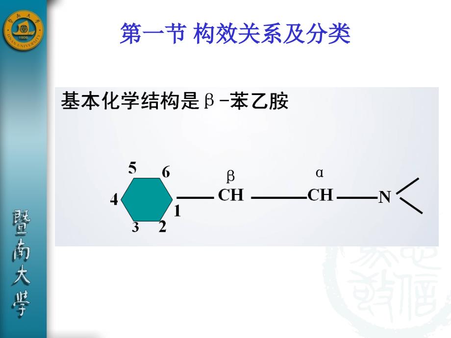 第十章肾上腺素受体激动药课件_第3页