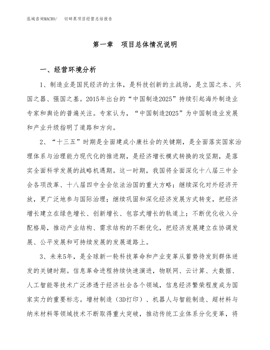 切碎泵项目经营总结报告范文模板.docx_第2页