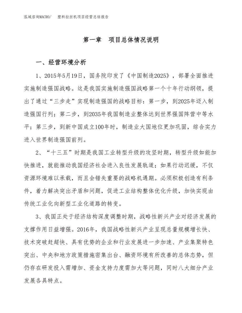 塑料拉丝机项目经营总结报告范文模板.docx_第2页