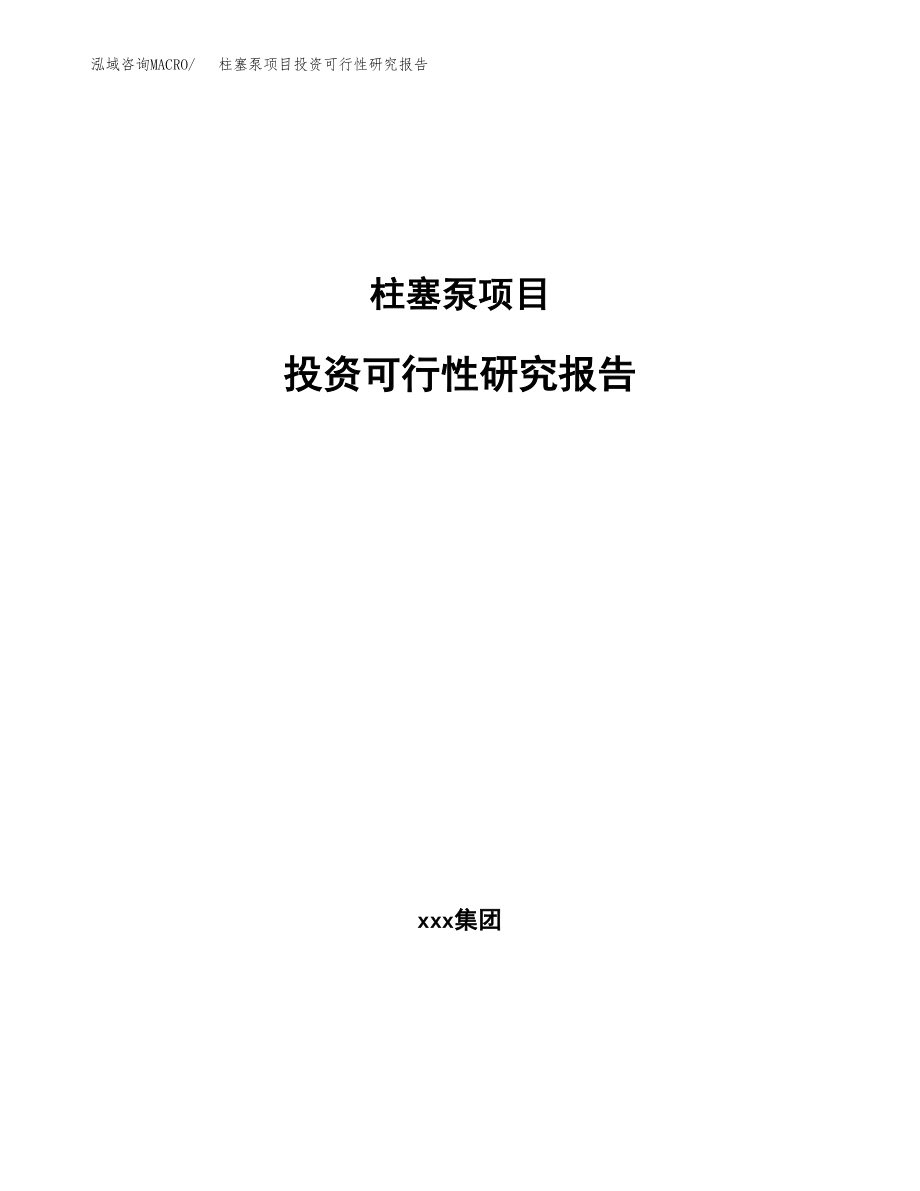 柱塞泵项目投资可行性研究报告(立项备案模板).docx_第1页