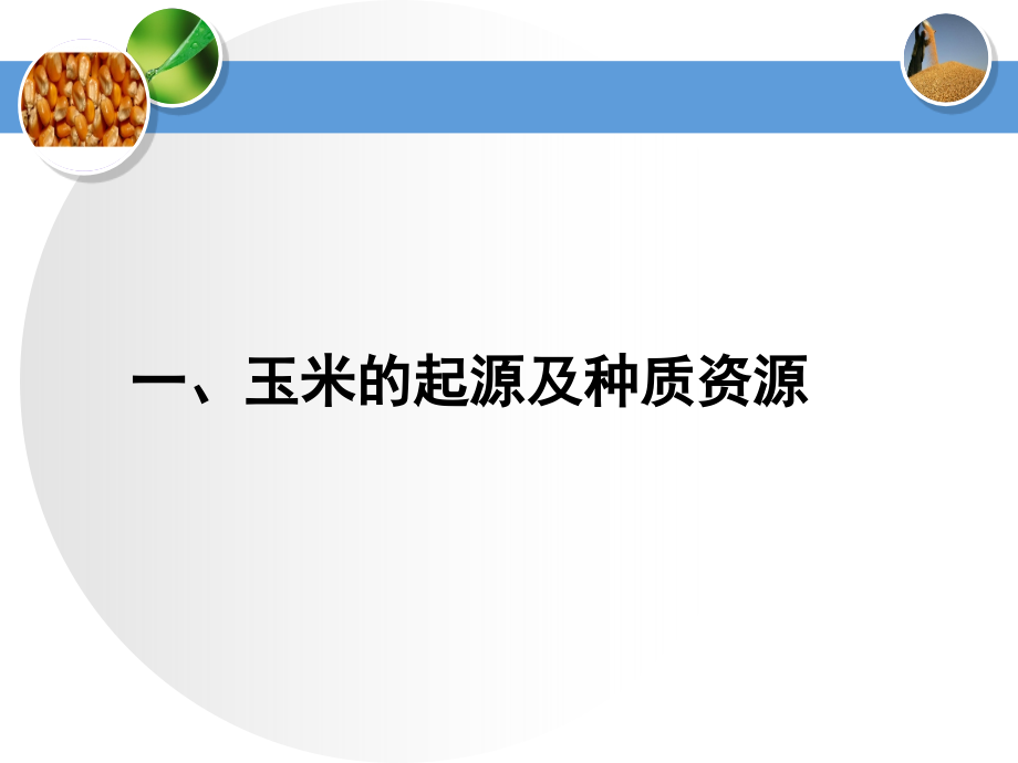 玉米与高产高效栽培技术_第3页