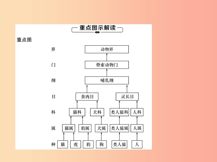 2019年八年级生物上册第6单元第1章第2节从种到界练习课件-新人教版_第4页