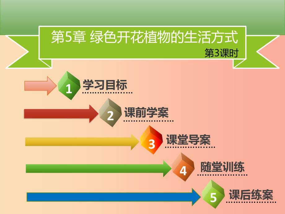 2019年秋季七年级生物上册第三单元第5章第1节光合作用第3课时习题课件（新版）北师大版_第2页