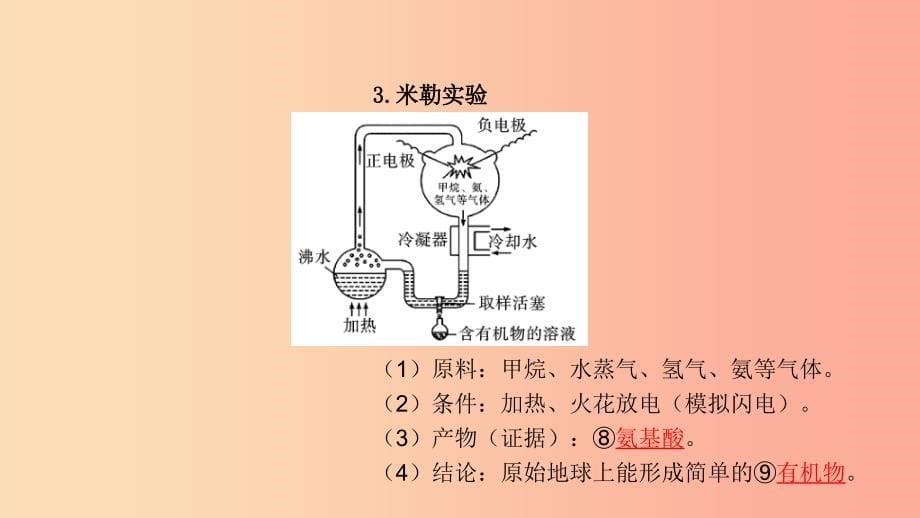 中考生物总复习 第一部分 基础考点巩固 第七单元 生物圈中生命的延续和发展 第三章 生命起源和生物进化_第5页