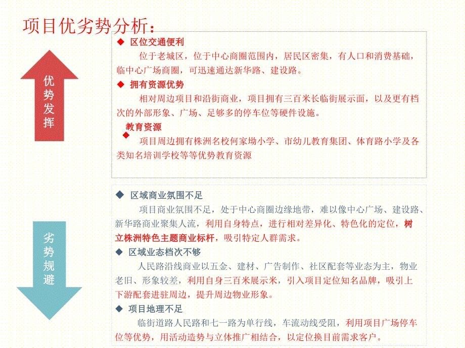 2016湖南株洲东成中心商业定位与招商规划23p_第5页