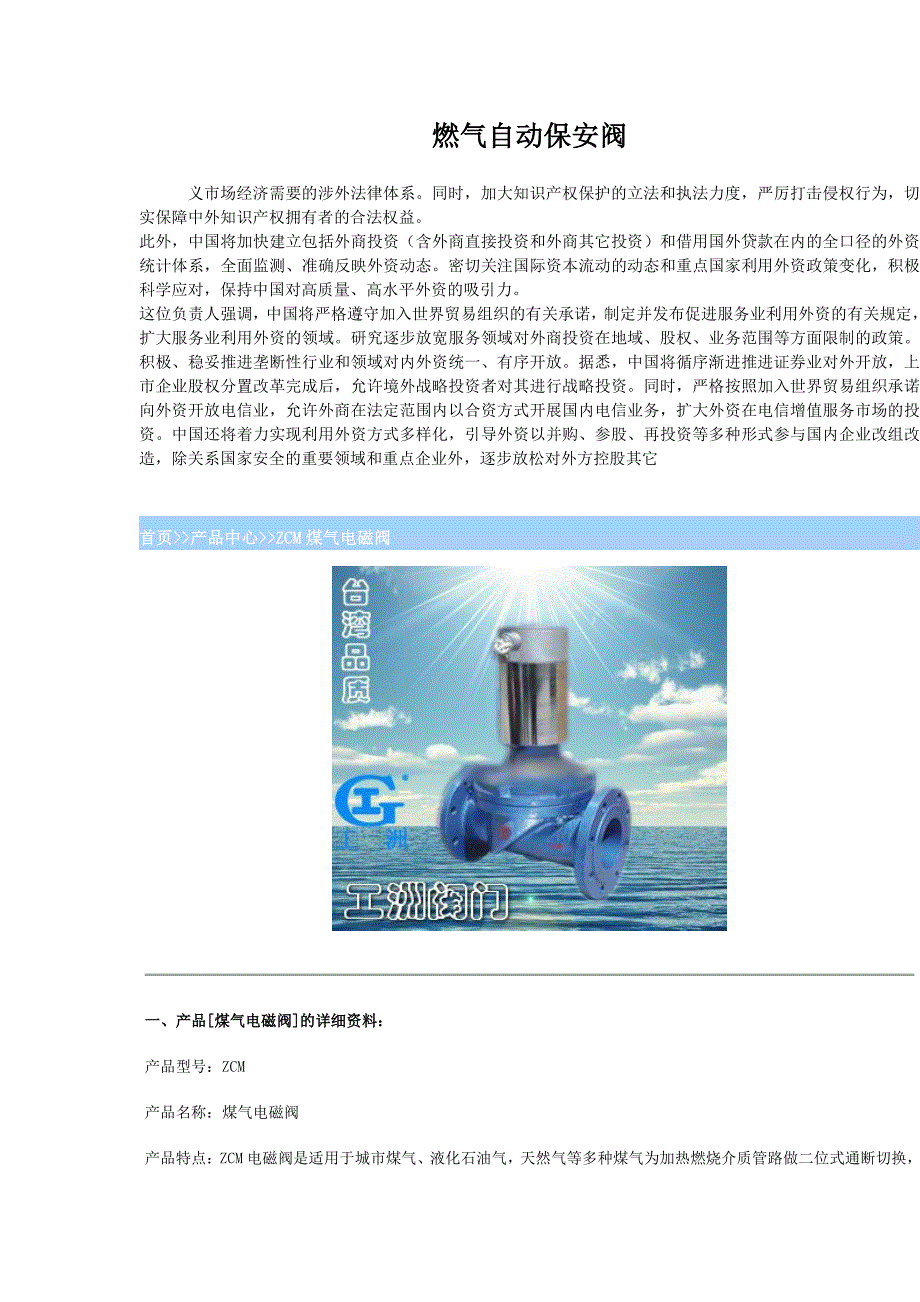 燃气自动保安阀_第1页