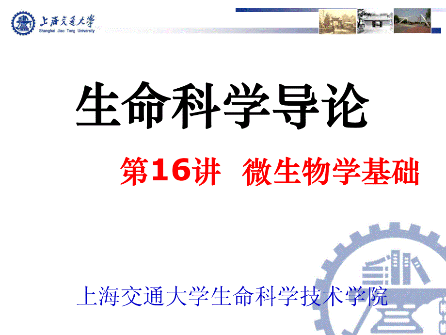 上海交通大学生命科学导论课件16_第1页