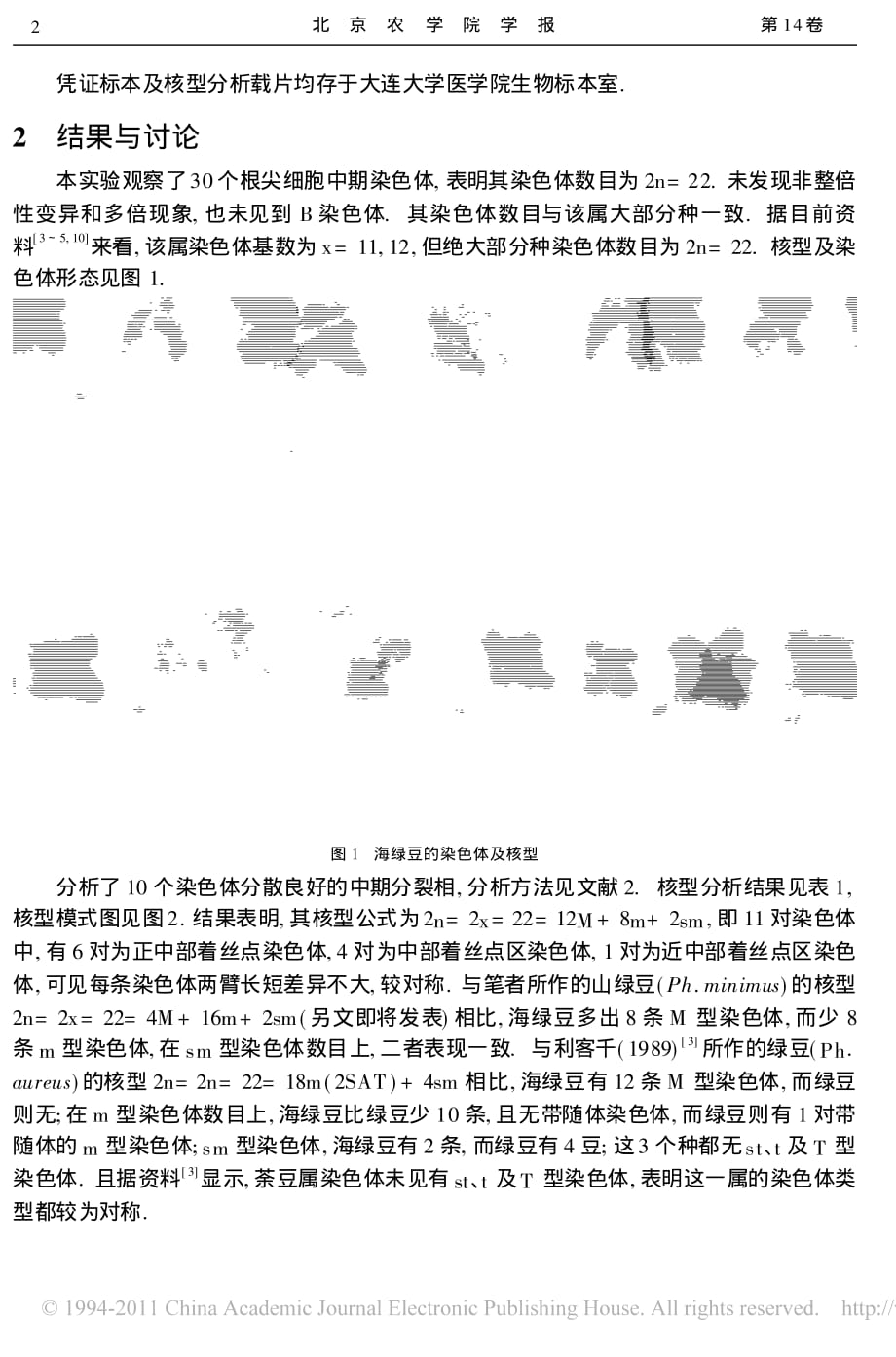 海绿豆_phaseolusdemissus_的染色体核型分析初报_第2页