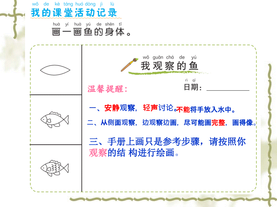 一年级下册科学ppt课件2.5 观察鱼教科版_第4页