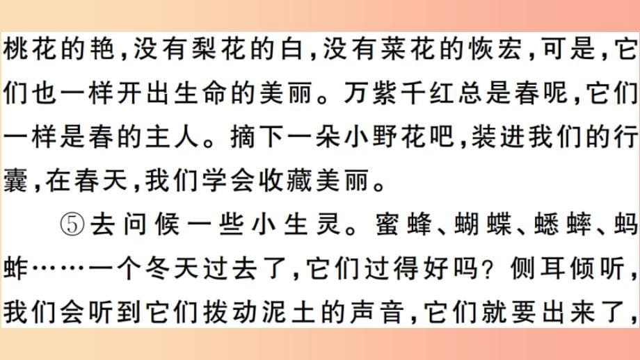 安徽专版2019年七年级语文上册微专题6写景抒情散文习题讲评课件新人教版_第5页