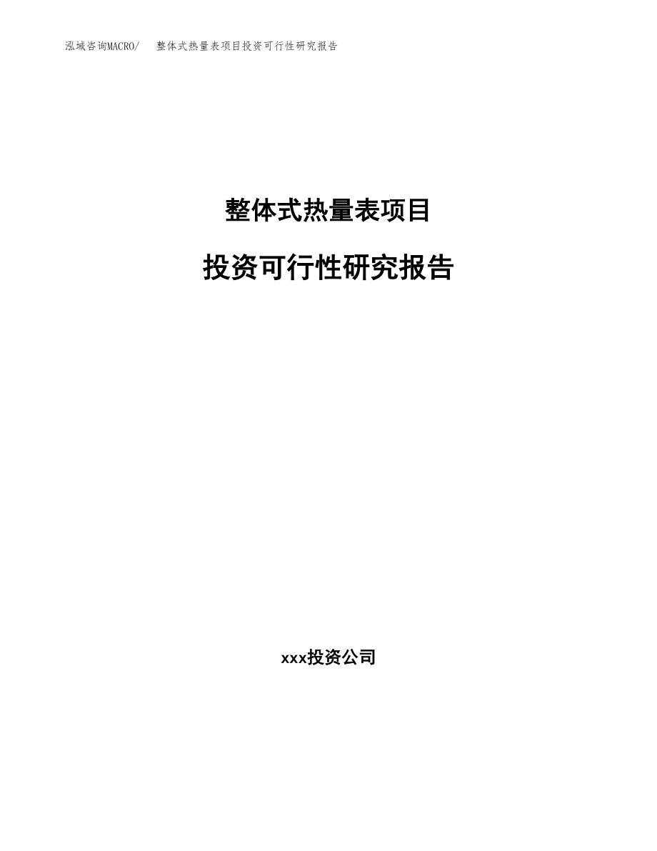 整体式热量表项目投资可行性研究报告(立项备案模板).docx_第1页