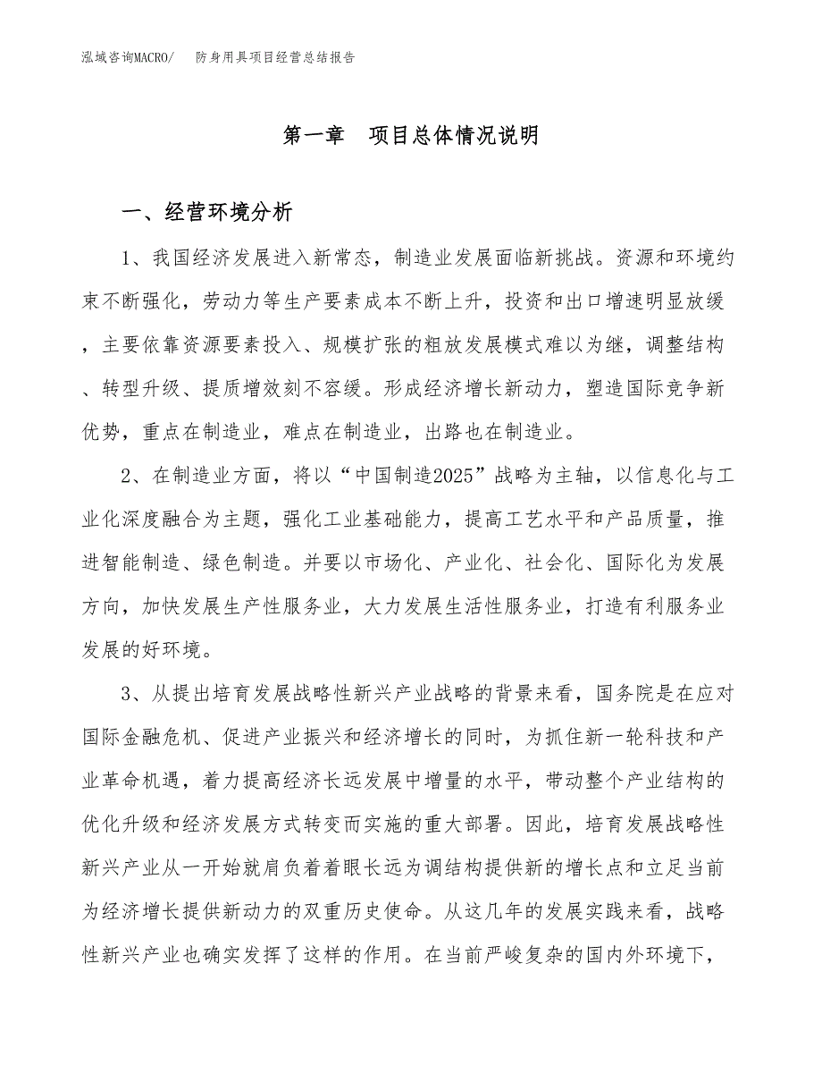 防身用具项目经营总结报告范文模板.docx_第2页