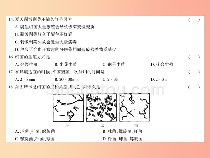 2019年八年级生物上册 第五单元 第18章 生物圈中的微生物测评卷课件（新版）北师大版_第5页