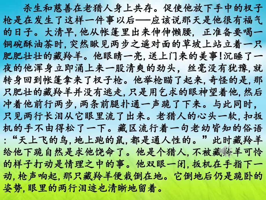 五年级语文下册ppt课件-4.2藏羚羊跪拜长春版_第4页