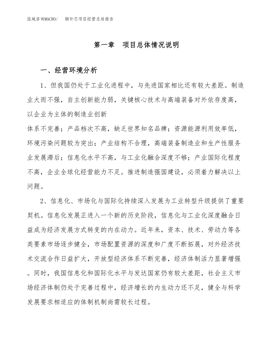 铜补芯项目经营总结报告范文模板.docx_第2页