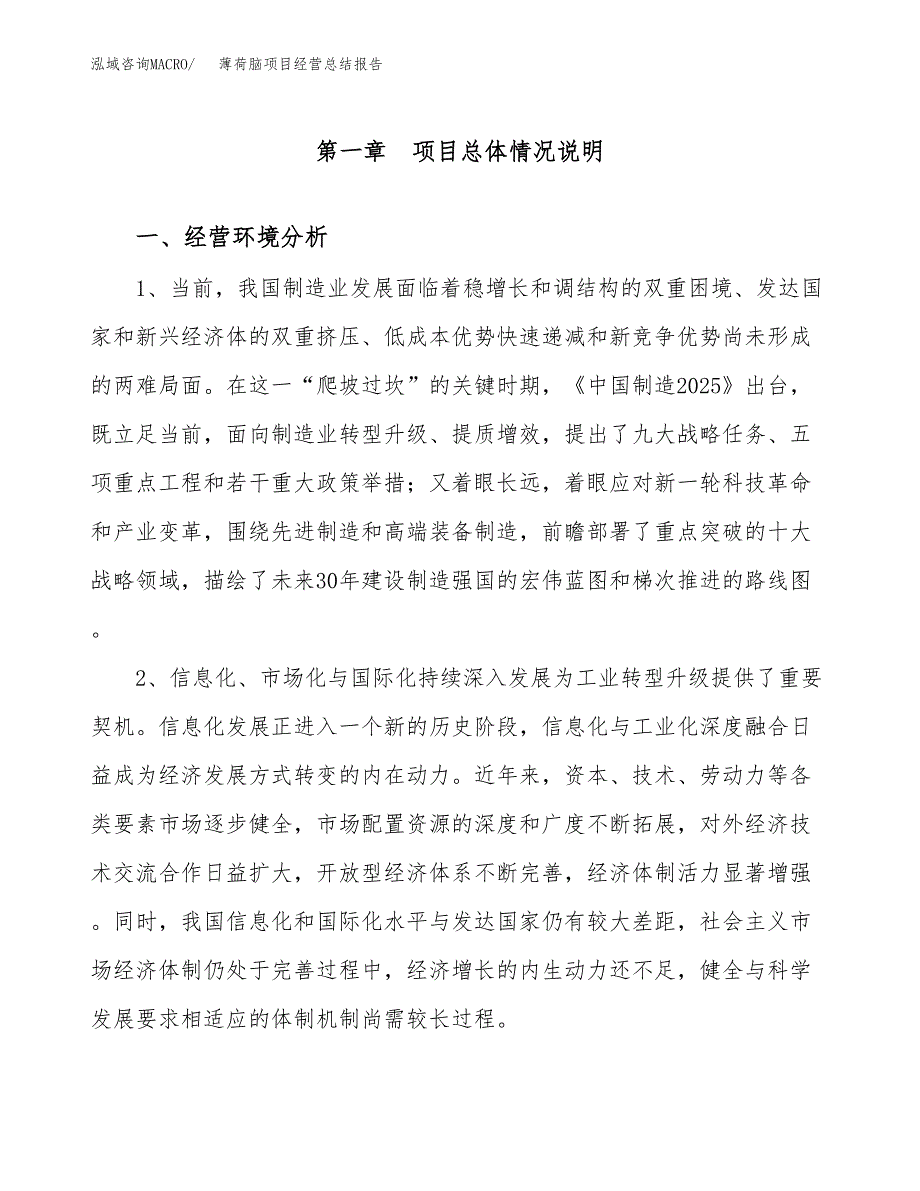 薄荷脑项目经营总结报告范文模板.docx_第2页