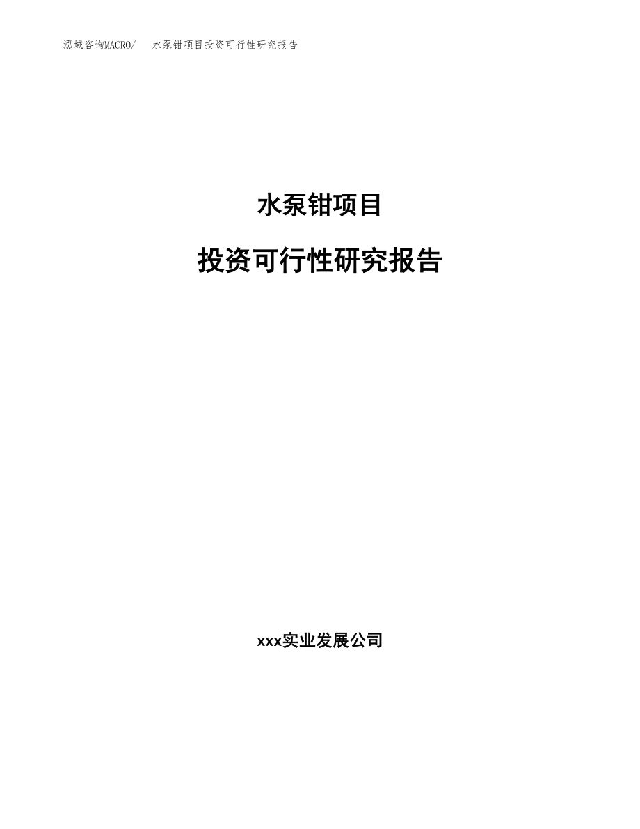 水泵钳项目投资可行性研究报告(立项备案模板).docx_第1页