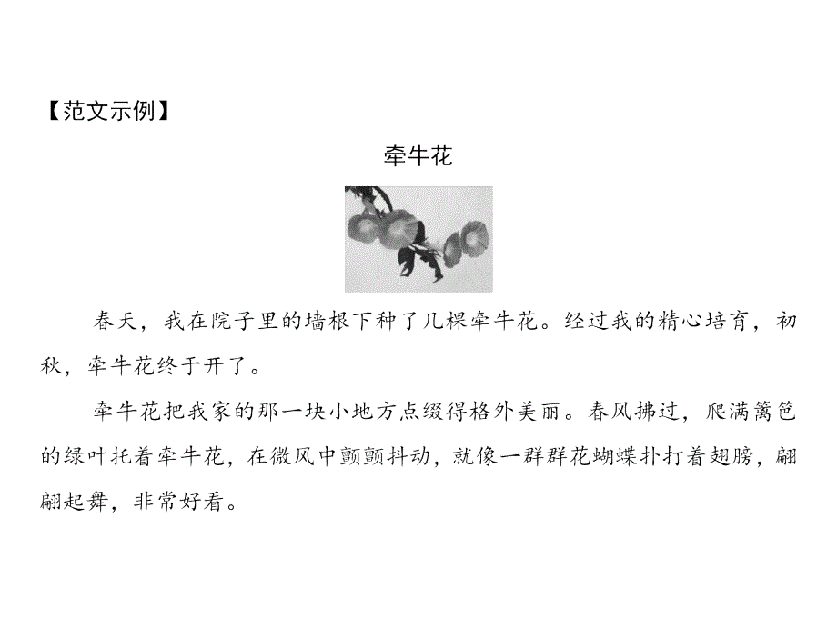 人教部编版三年级下册语文习题课件-第1单元 习作指导一 我的植物朋友_第4页