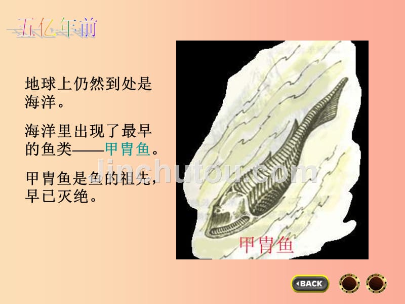 六年级科学上册 4.7 谁选择了它们课件 教科版_第5页