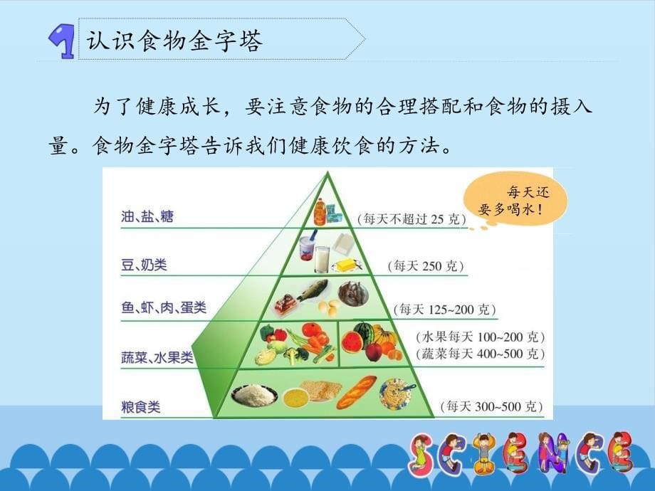 四年级上册科学课件-4.2 怎样搭配食物苏教版_第5页