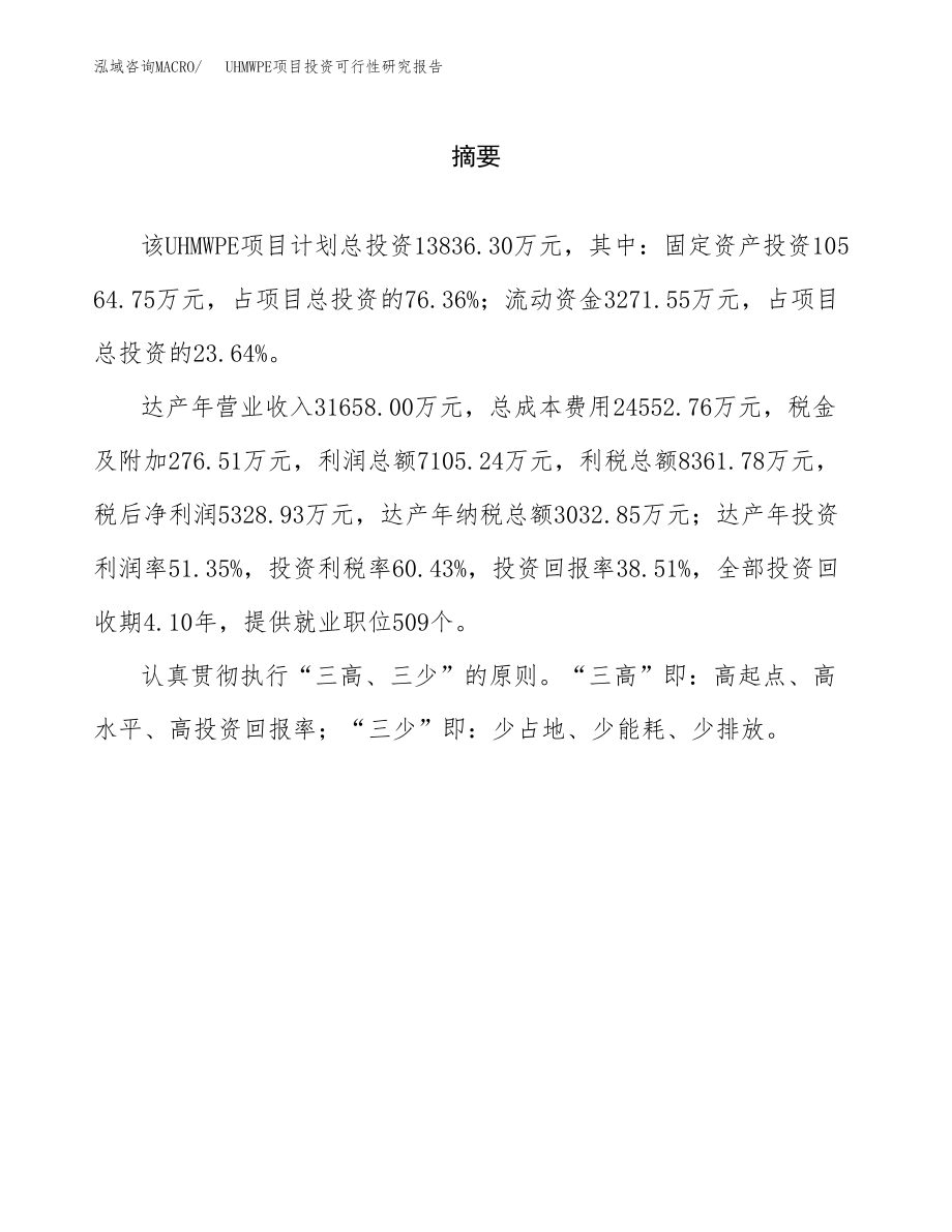 UHMWPE项目投资可行性研究报告(立项备案模板).docx_第2页