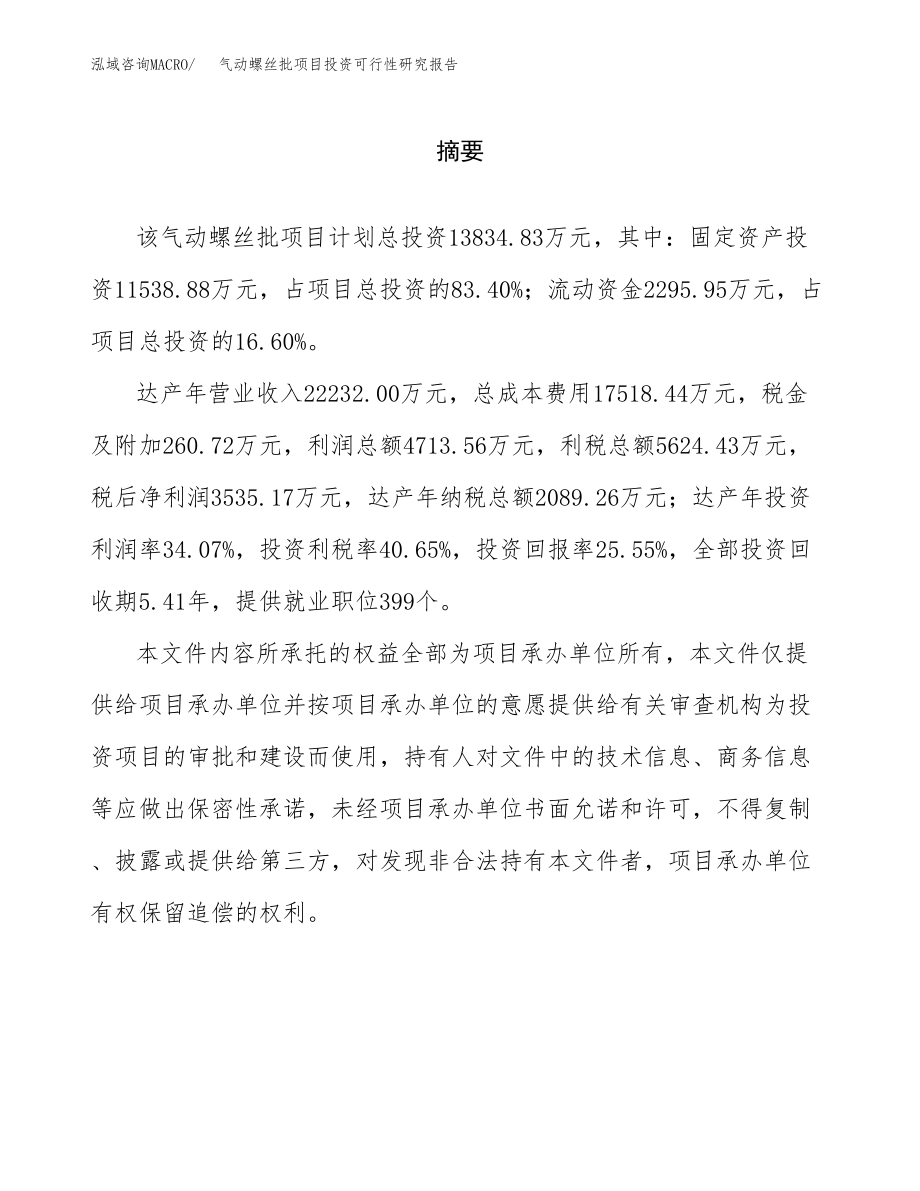 气动螺丝批项目投资可行性研究报告(立项备案模板).docx_第2页